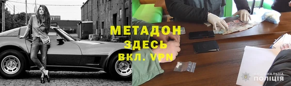 сатива Беломорск