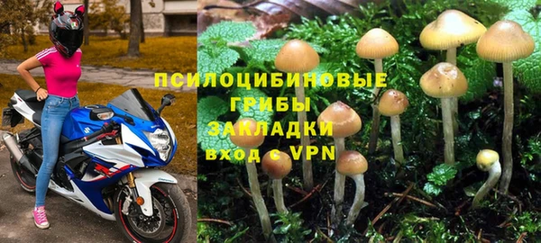 синтетический гашиш Богородицк