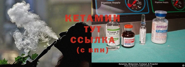 трава Богданович